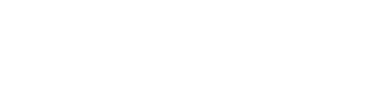 Everite Solutions