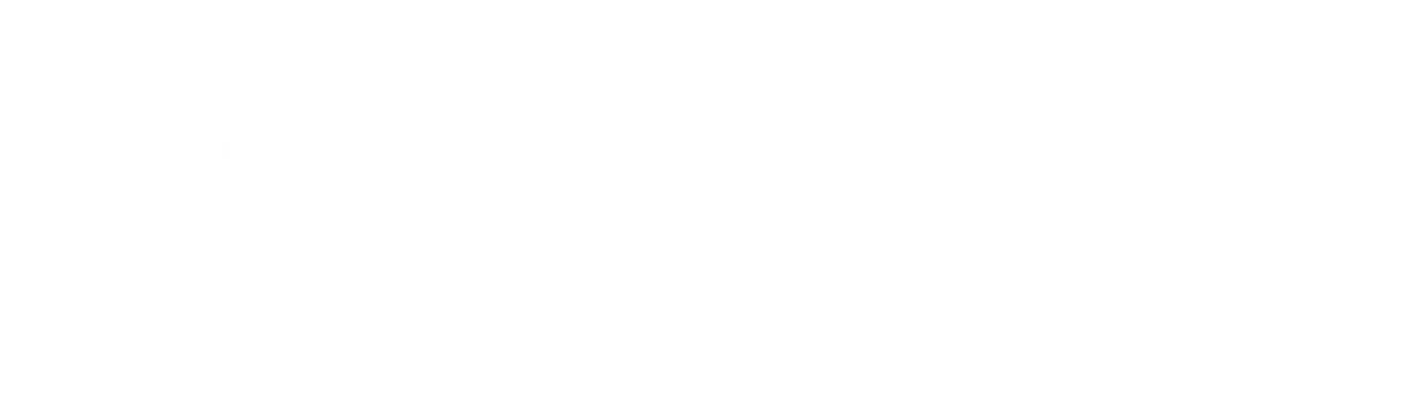 Everite Solutions