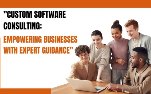 Custom Software Consulting: Empowering Businesses with Expert Guidance