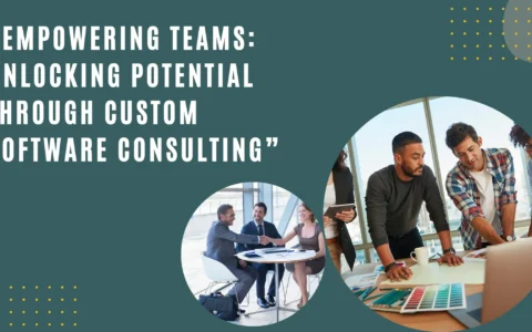 Empowering Teams: Unlocking Potential through Custom Software Consulting