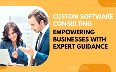 Custom Software Consulting: Empowering Businesses With Expert Guidance