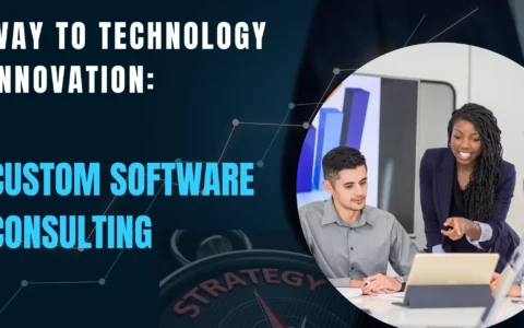 Leading the Way to Technology Innovation: Custom Software Consulting