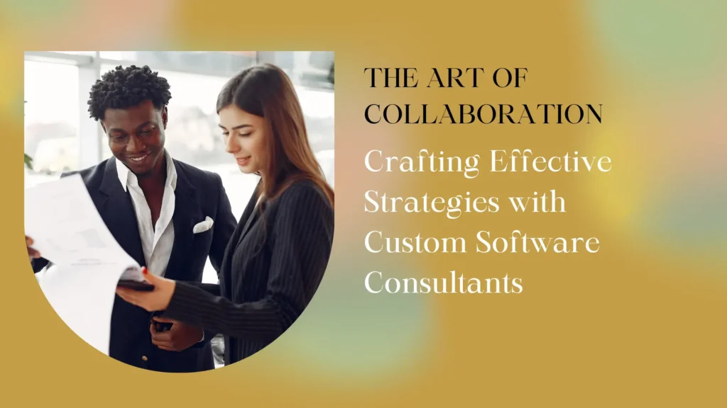 Crafting Effective Strategies with Custom Software Consultants