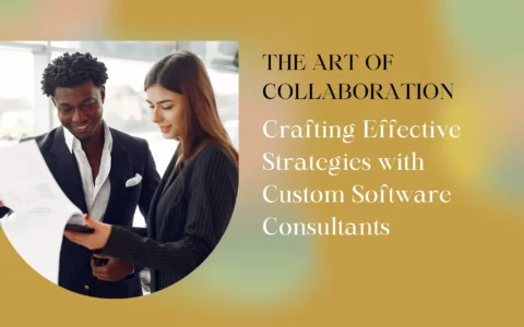 Crafting Effective Strategies with Custom Software Consultants