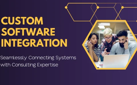 Custom Software Integration: Seamlessly Connecting Systems with Consulting Expertise