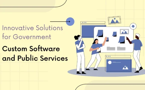 Innovative Solutions for Government: Custom Software and Public Services