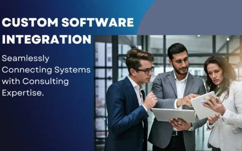 Custom Software Integration: Seamlessly Connecting Systems with Consulting Expertise.